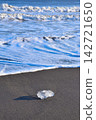 Jewelry Ice, Otsu Coast, Hokkaido 142721650