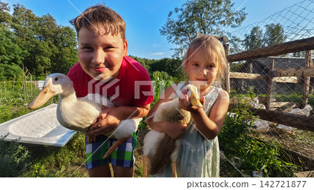 Happy children experiencing rural life, bonding with farm animals, and enjoying summer nature outdoors, connecting with poultry in a backyard setting. Happy children experiencing rural life, bonding with farm animals, and enjoying summer nature outdoors, connecting with poultry in a backyard setting. 142721877