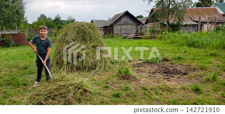 Young boy standing proudly while raking fresh hay into a haystack in a rustic village setting, representing childhood chores and traditional farming practices. Young boy standing proudly while raking fresh hay into a haystack in a rustic village setting, representing childhood chores and traditional farming practices. 142721910