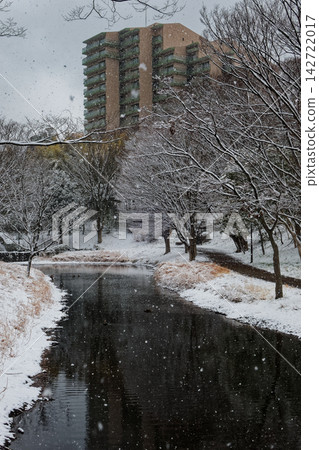 Snowscape at Ohara Minemichi Park in Kohoku New Town 142722017