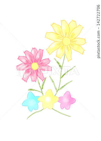 Fairytale Cosmos Fairytale Cosmos 142722706
