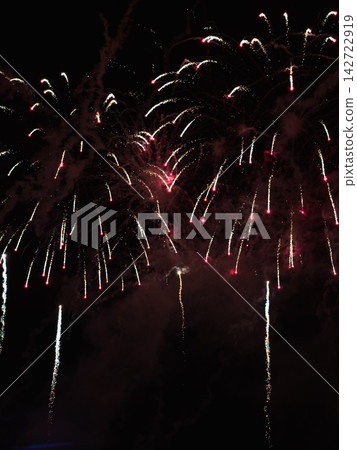 Colorful fireworks exploding in dark night sky Colorful fireworks exploding in dark night sky 142722919
