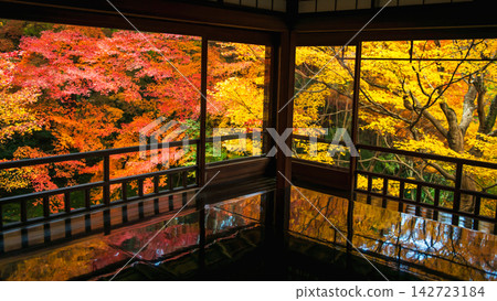 Rurikoin temple room to view colorful autumn maple leaf, Kyoto Rurikoin temple room to view colorful autumn maple leaf, Kyoto 142723184