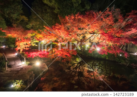 Garden walking trail of Kurodani Konkai Komyoji autumn leaf illusion, Kyoto 142723189