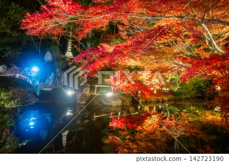 Pagoda by red maple tunnel light up and pond, Kurodani temple, Kyoto Pagoda by red maple tunnel light up and pond, Kurodani temple, Kyoto 142723190