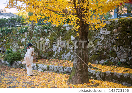 woman in kimono at ginkgo tree at Nanzen-ji Temple in autumn, Kyoto woman in kimono at ginkgo tree at Nanzen-ji Temple in autumn, Kyoto 142723196
