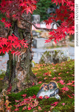 Tanuki couple figure by maple fall leaf tree, Nanzenji temple, Kyoto Tanuki couple figure by maple fall leaf tree, Nanzenji temple, Kyoto 142723197