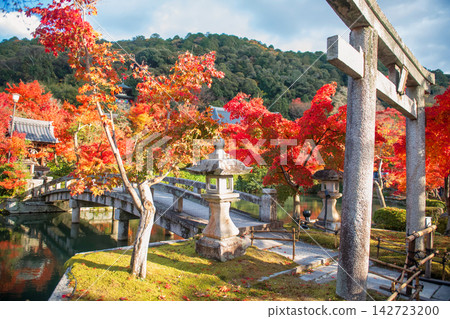 Torii gate to bridge with autumn garden of Eikando temple, Kyoto Torii gate to bridge with autumn garden of Eikando temple, Kyoto 142723200