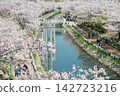 Aerial view of cherry tunnel by Dongsam Sea Stream in spring, Busan 142723216