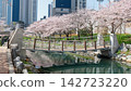 Bridge across Dongsam Sea Stream by cherry blossom tunnel,  Busan 142723220