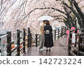 Korean couple at cherry tunnel, Gaegeum-dong, Busan, Korea 142723224