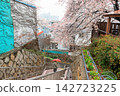Tourist at hillside staircase by cherry blossom, Gaegeum-dong, Busan 142723225