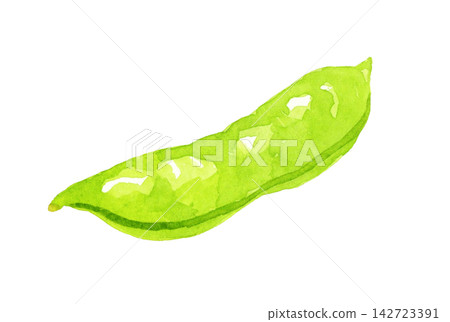 Green peas (single item) - Hand-drawn watercolor illustration material Green peas (single item) - Hand-drawn watercolor illustration material 142723391