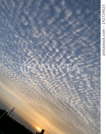 Cirrocumulus clouds and the setting sun spread across the entire sunset sky. Cirrocumulus clouds and the setting sun spread across the entire sunset sky. 142724025