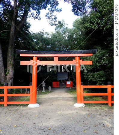 花木神社鳥居,京都府立植物園 花木神社鳥居,京都府立植物園 142724576