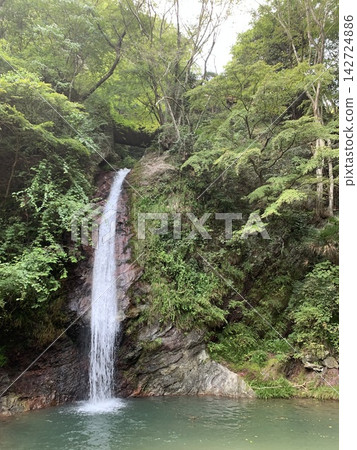 A waterfall flowing through a fresh green forest A waterfall flowing through a fresh green forest 142724886