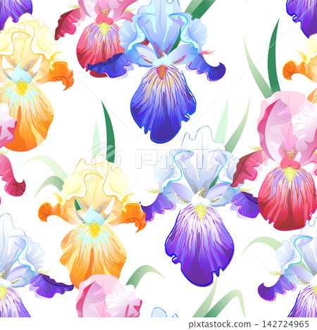 White seamless pattern with colored Iris flowers White seamless pattern with colored Iris flowers 142724965