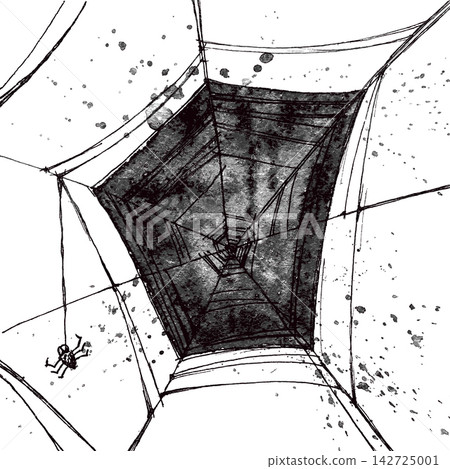 Vector hand pictured grunge spiders web Vector hand pictured grunge spiders web 142725001