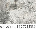 Natural stone texture found in a quarry showing shades of gray and white with veins and patterns 142725568