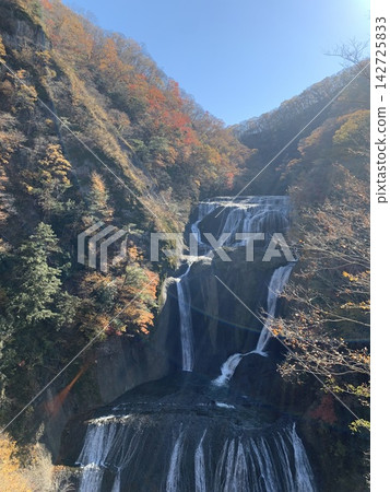 秋天的袋田瀑布被秋葉包圍 142725833