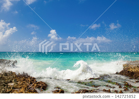 Turquoise Caribbean Sea with Waves and Rocky Shore Turquoise Caribbean Sea with Waves and Rocky Shore 142725852
