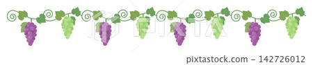 Grape decorative border, design material for autumn flavors Grape decorative border, design material for autumn flavors 142726012