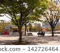 A park surrounded by fresh greenery 142726464