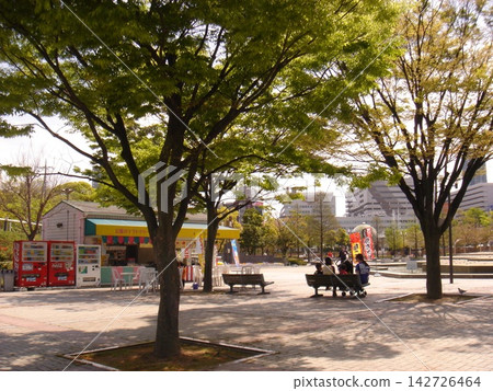 A park surrounded by fresh greenery A park surrounded by fresh greenery 142726464