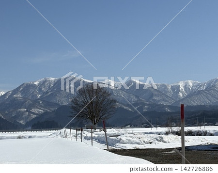 雪原和一棵孤樹在藍天下綿延；冬日山脈 142726886