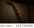 Camarasaurus head 142726906