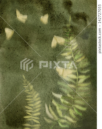 Moody dark green watercolor forest background with fern leaves and pale moths. Moody dark green watercolor forest background with fern leaves and pale moths. 142727055