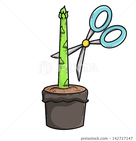 Asparagus Life Cycle Asparagus Life Cycle 142727147