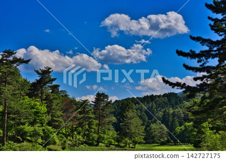 黑澤濕地上空的藍天(德島縣三好市) 黑澤濕地上空的藍天(德島縣三好市) 142727175