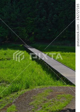 [Kurosawa Marshland] (Miyoshi City, Tokushima Prefecture) 142727193