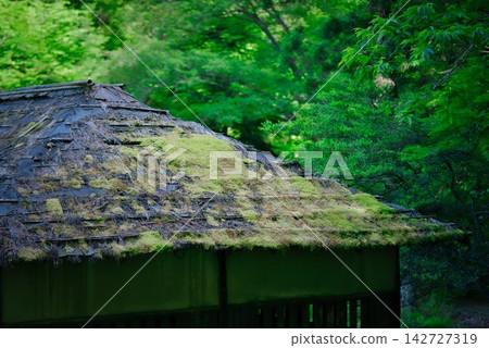 黑澤濕地（德島縣三好市）一棟破舊的房屋 142727319