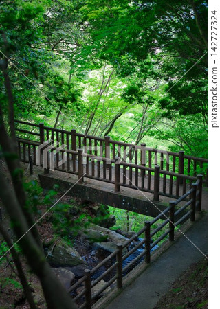 【黑澤濕地】旅尻瀑布(德島縣三好市) 【黑澤濕地】旅尻瀑布(德島縣三好市) 142727324