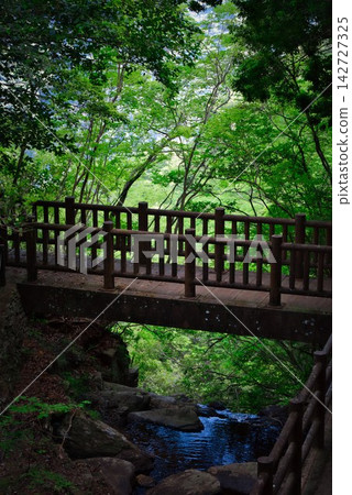 【黑澤濕地】旅尻瀑布(德島縣三好市) 【黑澤濕地】旅尻瀑布(德島縣三好市) 142727325