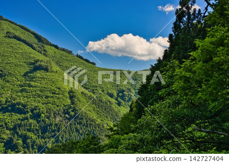 從黑澤濕地看到的藍天(德島縣三好市) 從黑澤濕地看到的藍天(德島縣三好市) 142727404