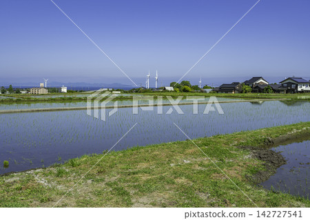 鳥取縣大仙町,插秧後的稻田景色(Tokoro)。 鳥取縣大仙町,插秧後的稻田景色(Tokoro)。 142727541