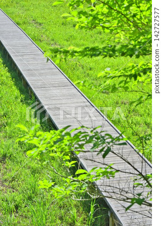 [Kurosawa Marshland] (Miyoshi City, Tokushima Prefecture) 142727577