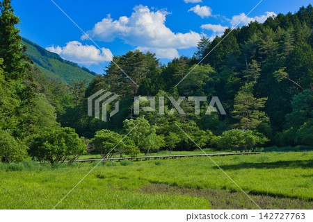 [Kurosawa Marshland] (Miyoshi City, Tokushima Prefecture) 142727763