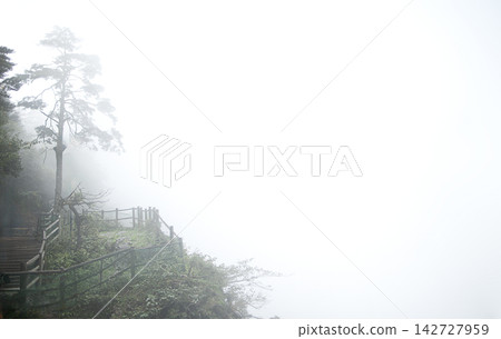 Misty landscape featuring a wooden pathway and railing along a cliffside, surrounded by trees and dense fog, creating a serene and tranquil atmosphere Misty landscape featuring a wooden pathway and railing along a cliffside, surrounded by trees and dense fog, creating a serene and tranquil atmosphere 142727959