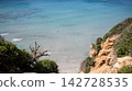 beautiful aerial view of beach and sea with coconut palm tree 142728535