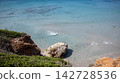beautiful aerial view of beach and sea with coconut palm tree 142728536