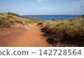 the sea shore under blue sky 142728564