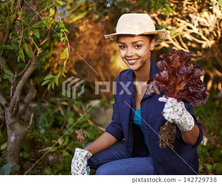 Woman, portrait and gardening vegetables in backyard with care for lettuce growth, development and healthy food in summer. Smile, farmer and hands with product, nutrition or supplier for agriculture Woman, portrait and gardening vegetables in backyard with care for lettuce growth, development and healthy food in summer. Smile, farmer and hands with product, nutrition or supplier for agriculture 142729738