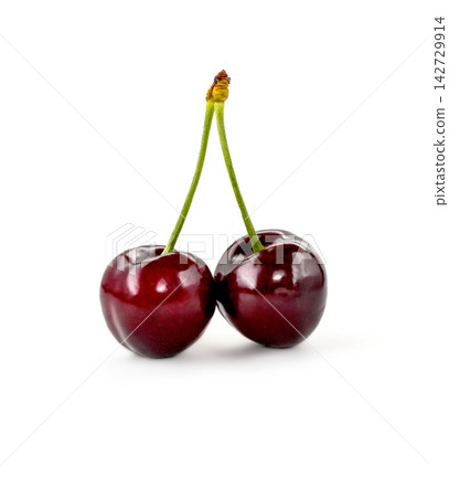 black Cherries on white background black Cherries on white background 142729914