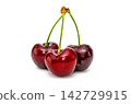 black Cherries on white background 142729915