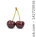 black Cherries on white background 142729916