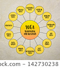 Yoga, traditional and western styles and practice, diagram infographics 142730238